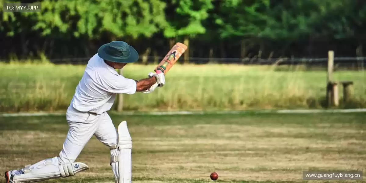 高清直播，随时随地！📱